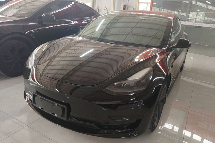 Tesla Model 3 2021 #2 Tesla Model 3 2021 car image #2