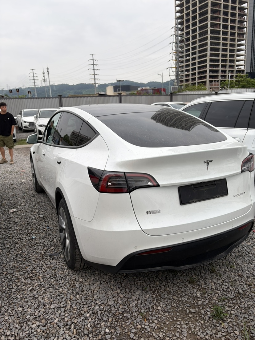 Tesla Model Y 2022 car image #7