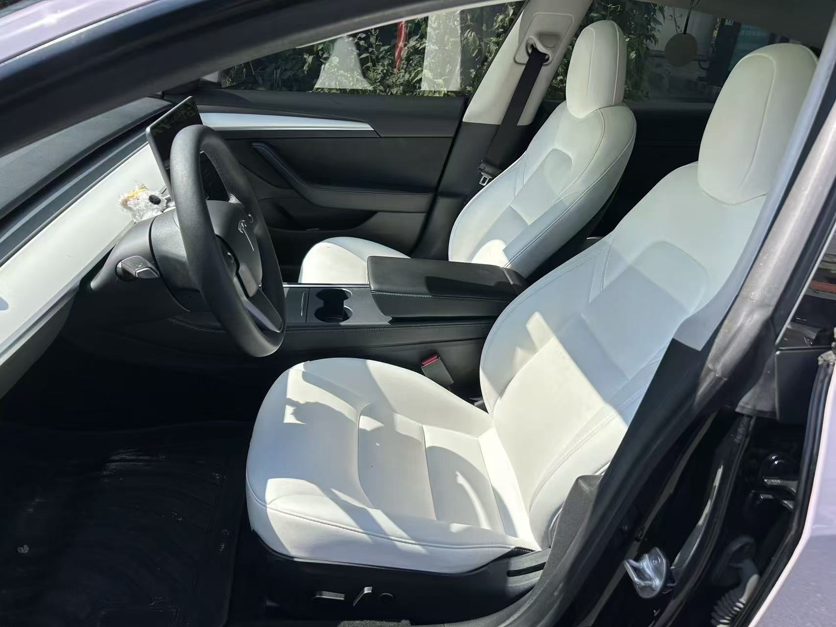 Tesla Model 3 2021 #5 Tesla Model 3 2021 car image #5