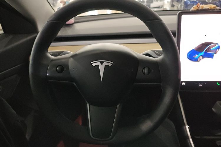Tesla Model 3 2020 car image #11