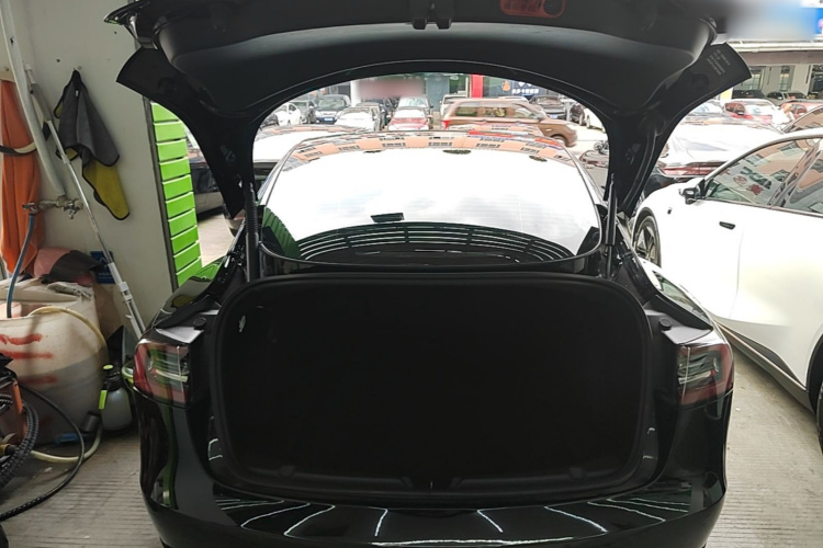 Tesla Model 3 2021 #19 Tesla Model 3 2021 car image #19