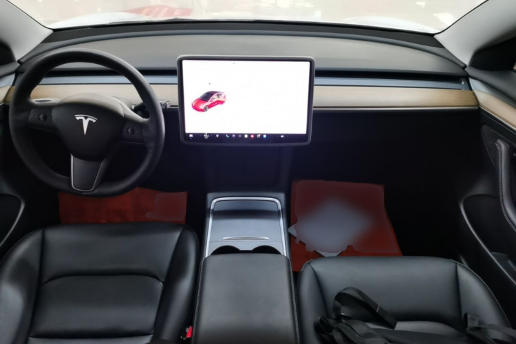 Tesla Model 3 2021 #11 Tesla Model 3 2021 immagine di auto #11