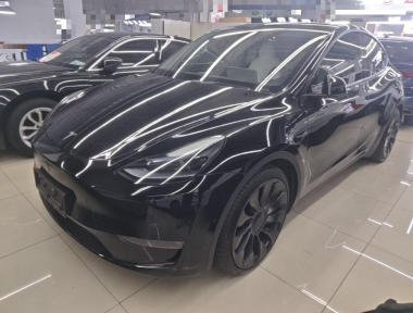 Tesla Model Y 2022 immagine di auto 