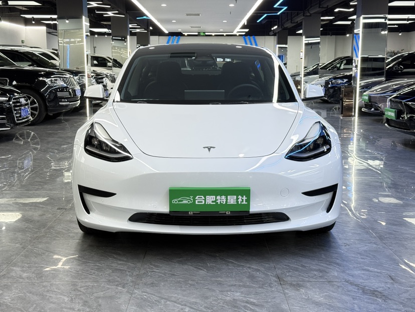 Tesla Model 3 2022 Tesla Model 3 2022 car image