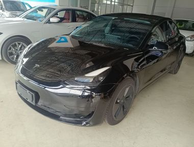 Tesla Model 3 2021 Tesla Model 3 2021 immagine di auto