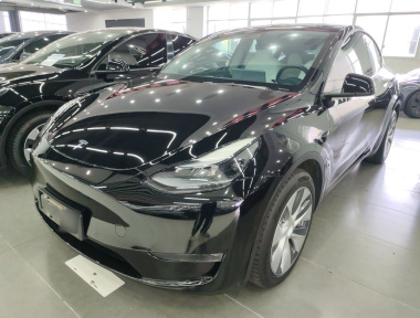 Tesla Model Y 2022 Tesla Model Y 2022 car image