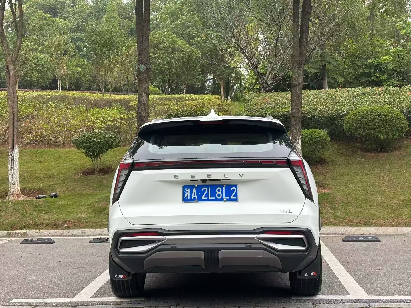 GEELY Boyue L 2024 #8 GEELY Boyue L 2024 صورة سيارة #8