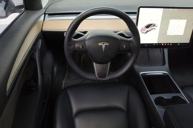 Tesla Model 3 2021 imagem de carro #11