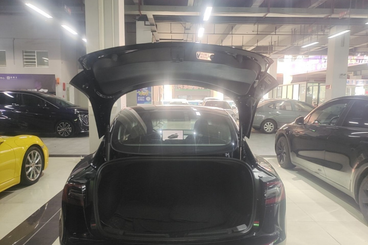 Tesla Model 3 2023 #19 Tesla Model 3 2023 car image #19