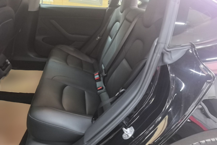 Tesla Model 3 2021 #17 Tesla Model 3 2021 car image #17