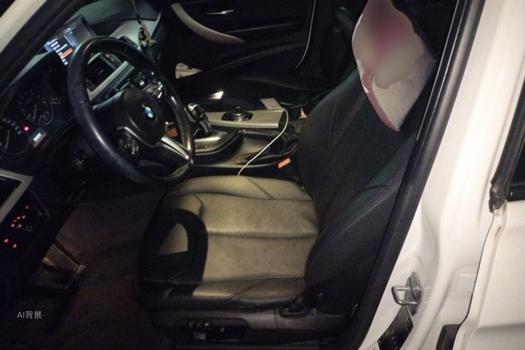 BMW 3 Series 2014 car image #17