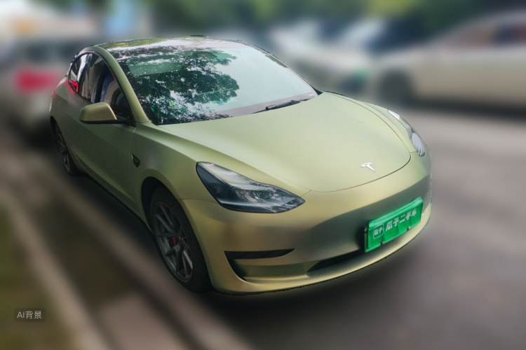 Tesla Model 3 2021 car image #4