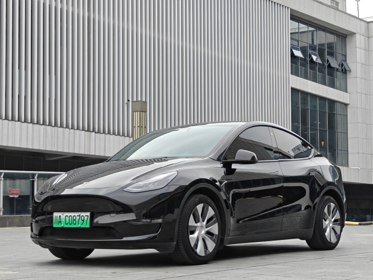Tesla Model Y 2022 Tesla Model Y 2022 car image
