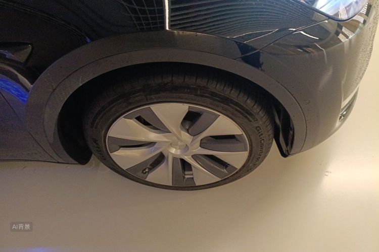 Tesla Model Y 2021 car image #9