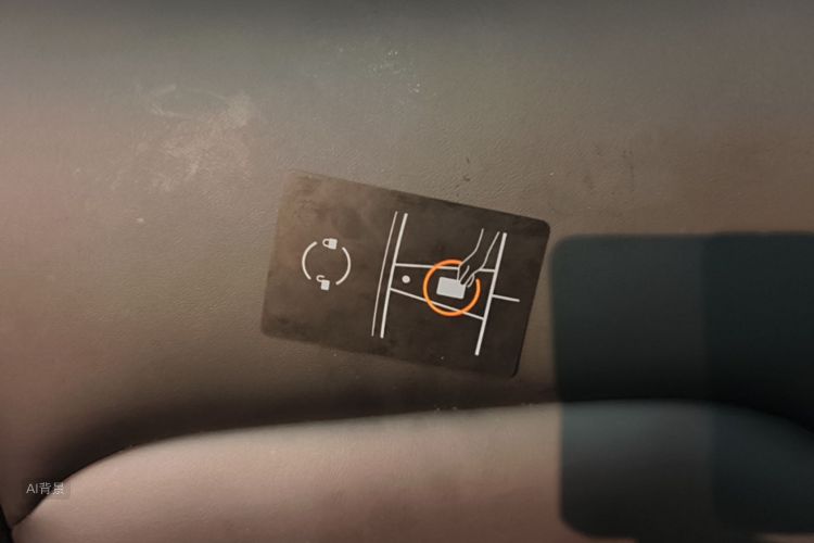 Tesla Model 3 2020 car image #11