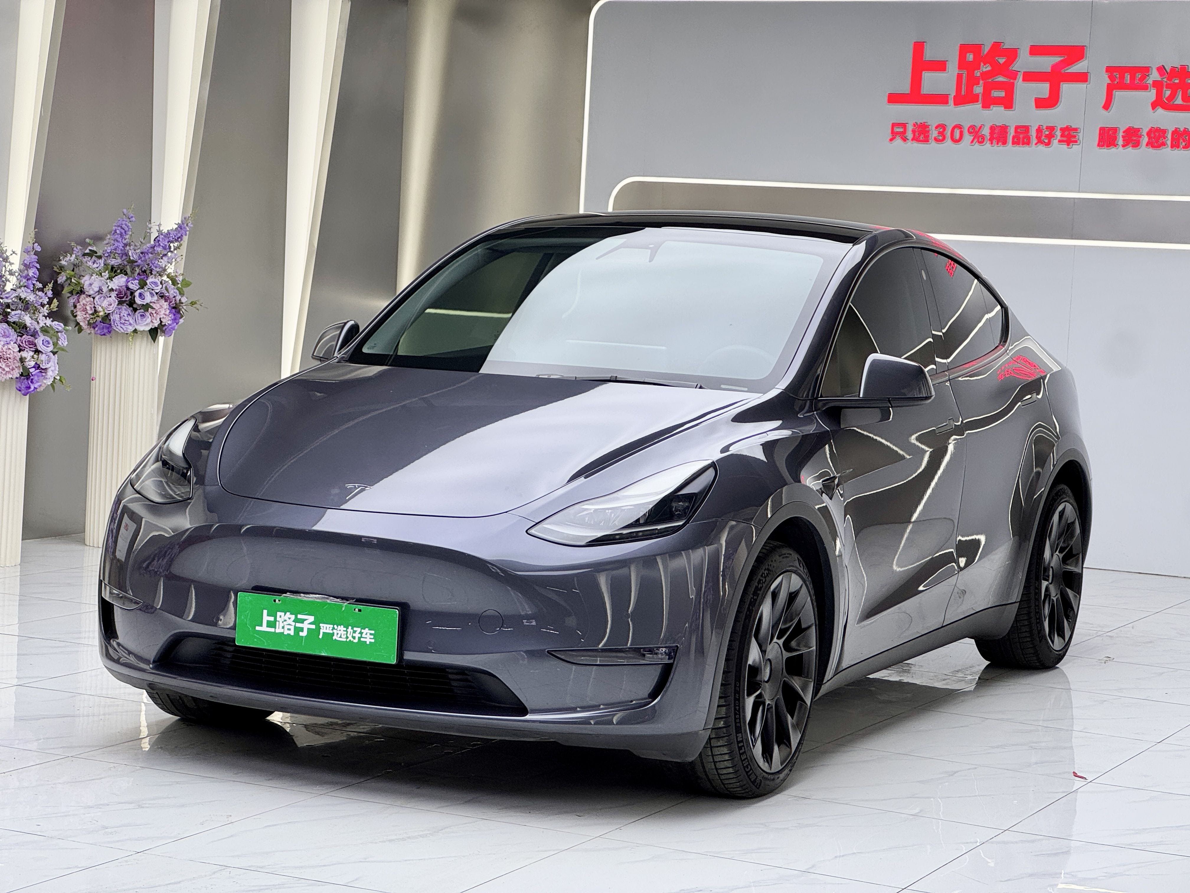 Tesla Model Y 2021 Tesla Model Y 2021 car image