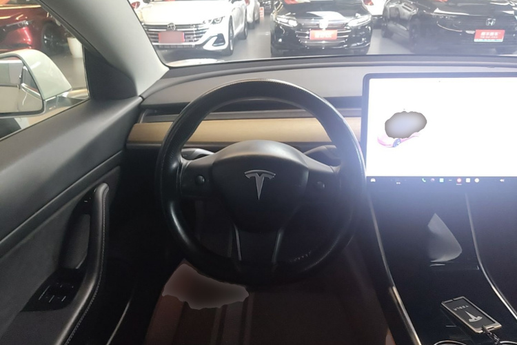 Tesla Model 3 2020 car image #11