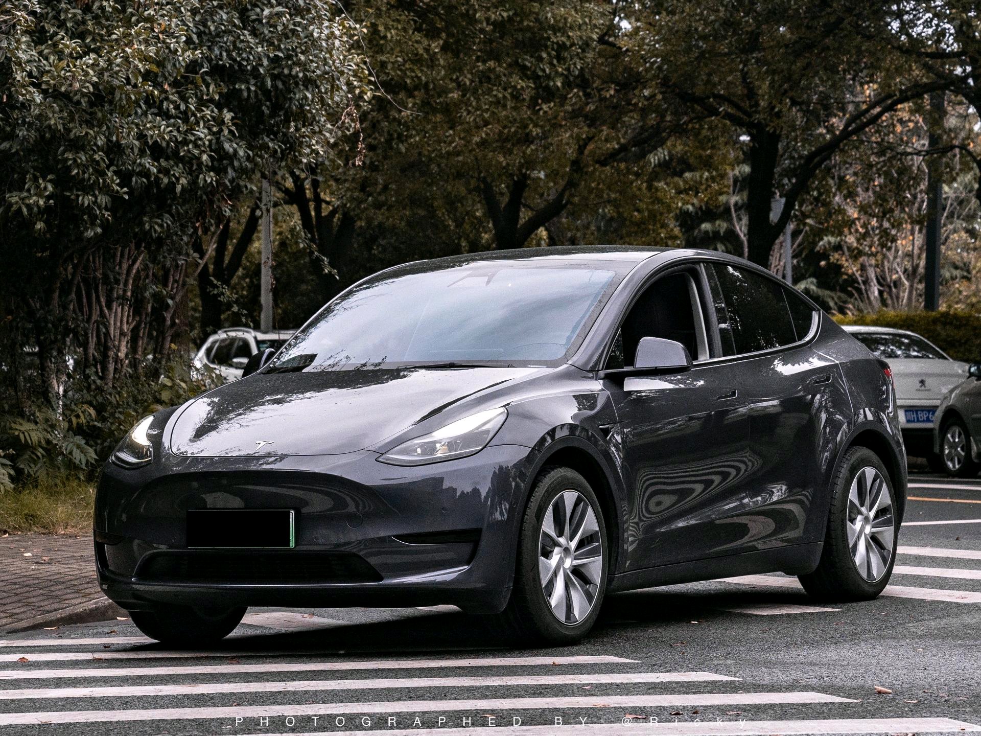 Tesla Model Y 2022 Tesla Model Y 2022 car image
