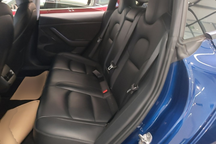 Tesla Model 3 2021 #17 Tesla Model 3 2021 car image #17