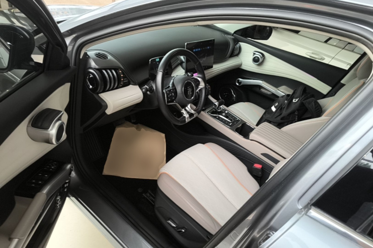 BYD Yuan Plus 2024 car image #19