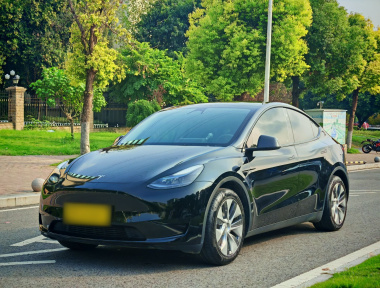 Tesla Model Y 2022 Tesla Model Y 2022 car image