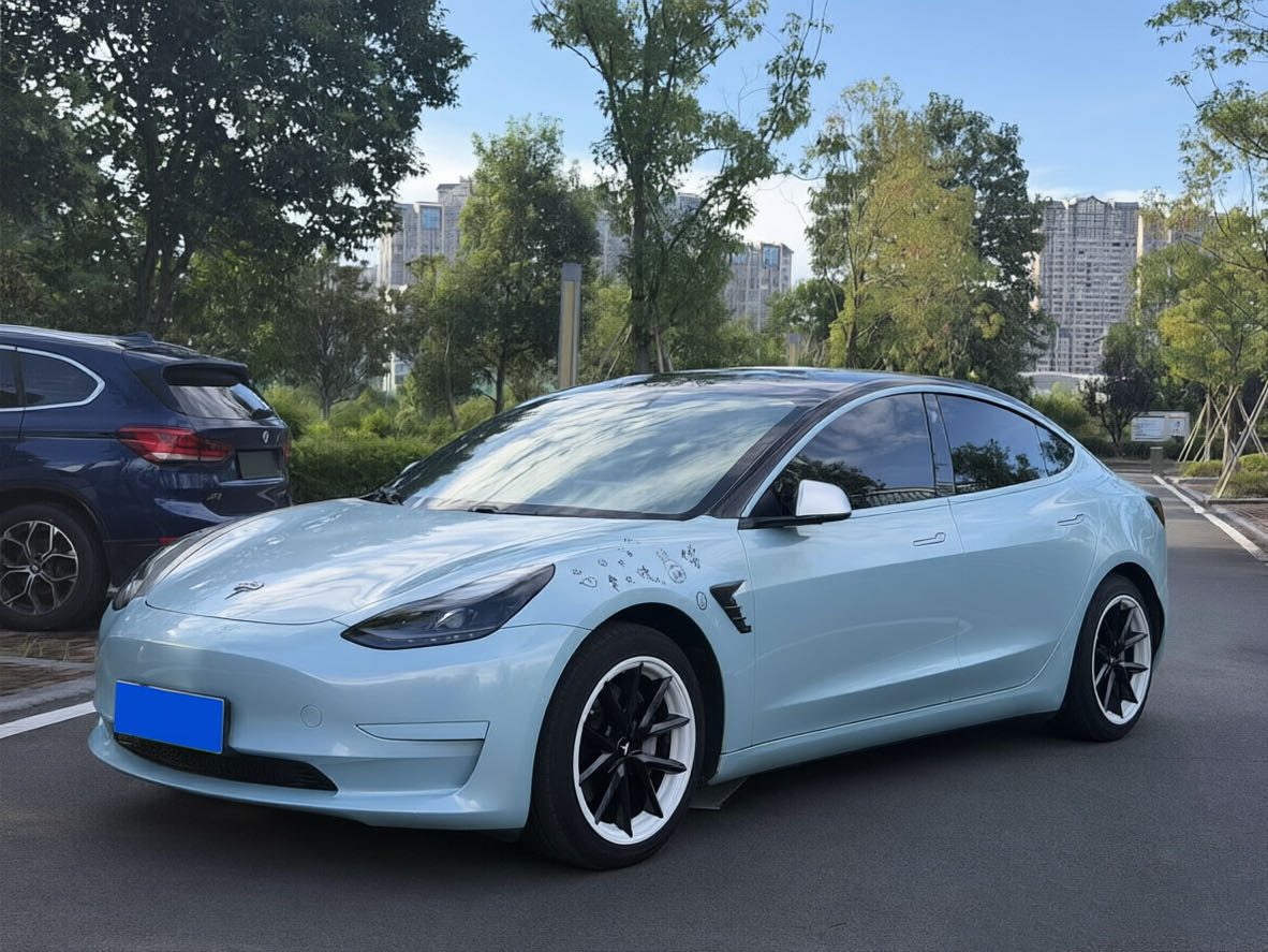 Tesla Model 3 2021 Tesla Model 3 2021 immagine di auto