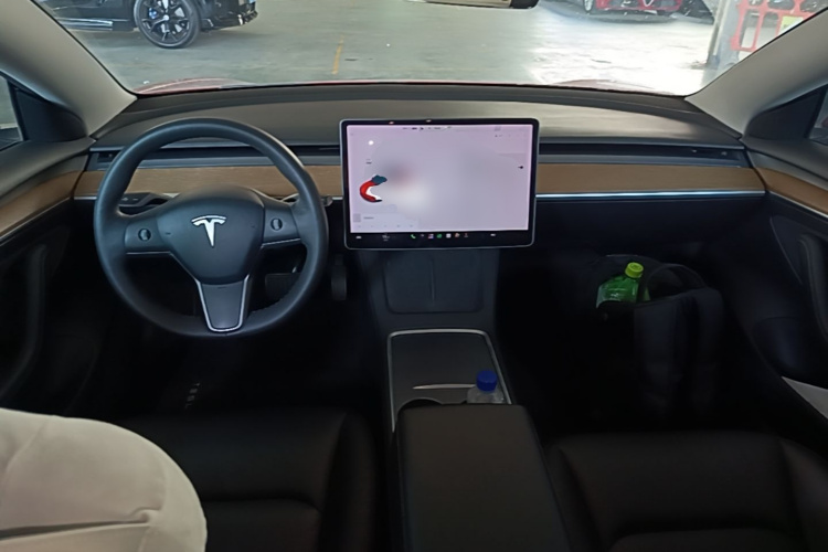 Tesla Model 3 2021 car image #10