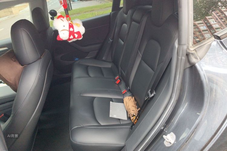 Tesla Model 3 2021 car image #19