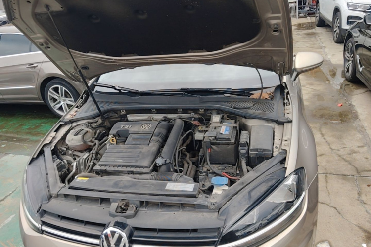 Volkswagen Golf 2018 car image #20