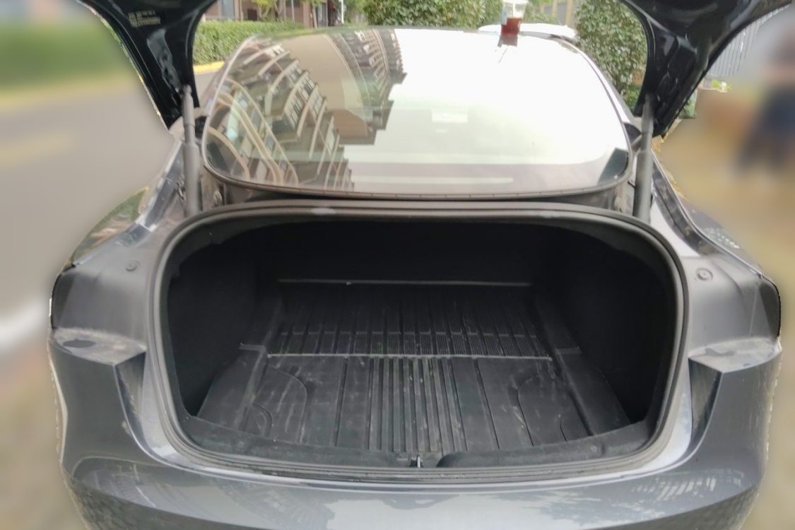 Tesla Model 3 2024 car image #8