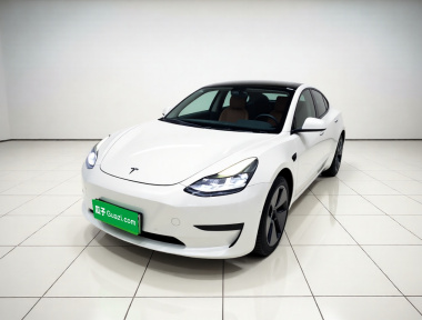 Tesla Model 3 2021 Tesla Model 3 2021 car image