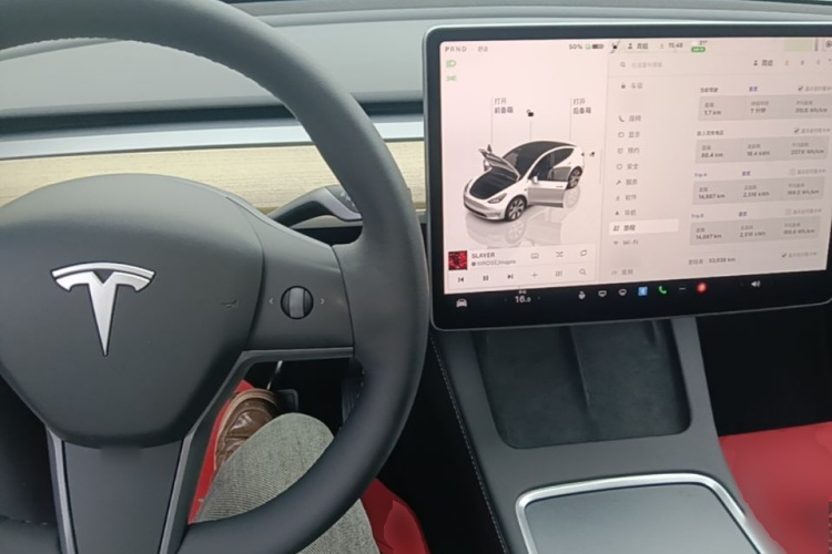 Tesla Model Y 2023 car image #10