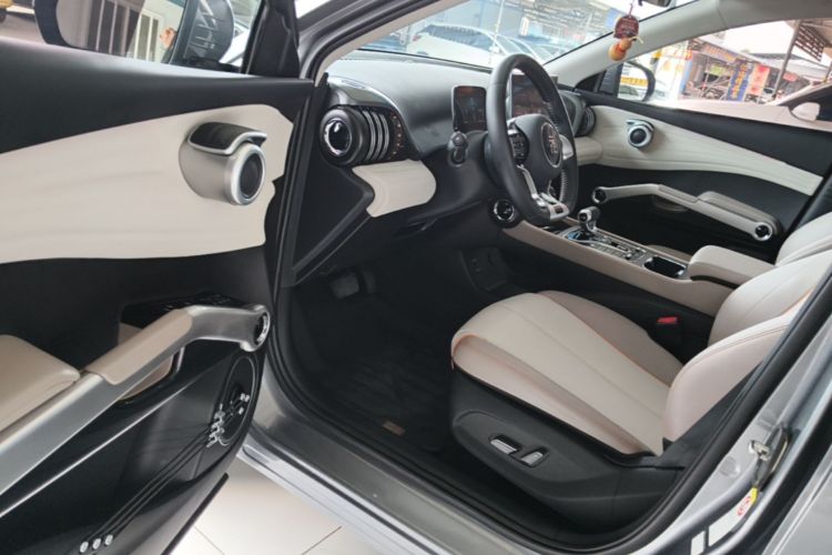 BYD Yuan Plus 2024 immagine di auto #12