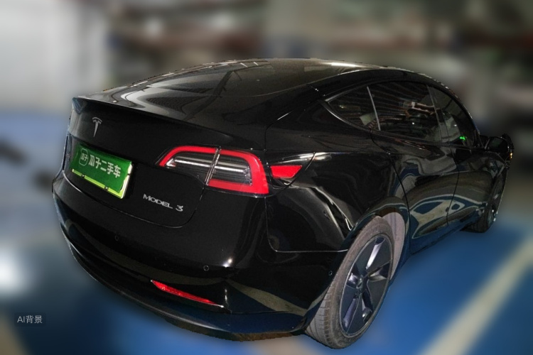 Tesla Model 3 2021 #7 Tesla Model 3 2021 car image #7