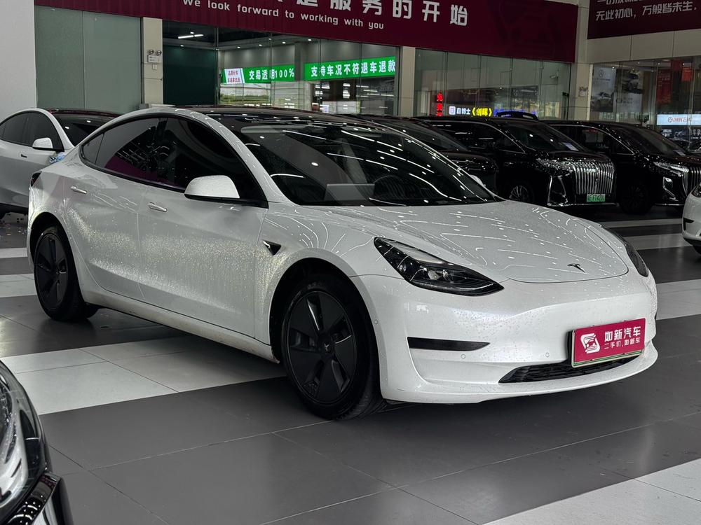 Tesla Model 3 2022 #3 Tesla Model 3 2022 car image #3
