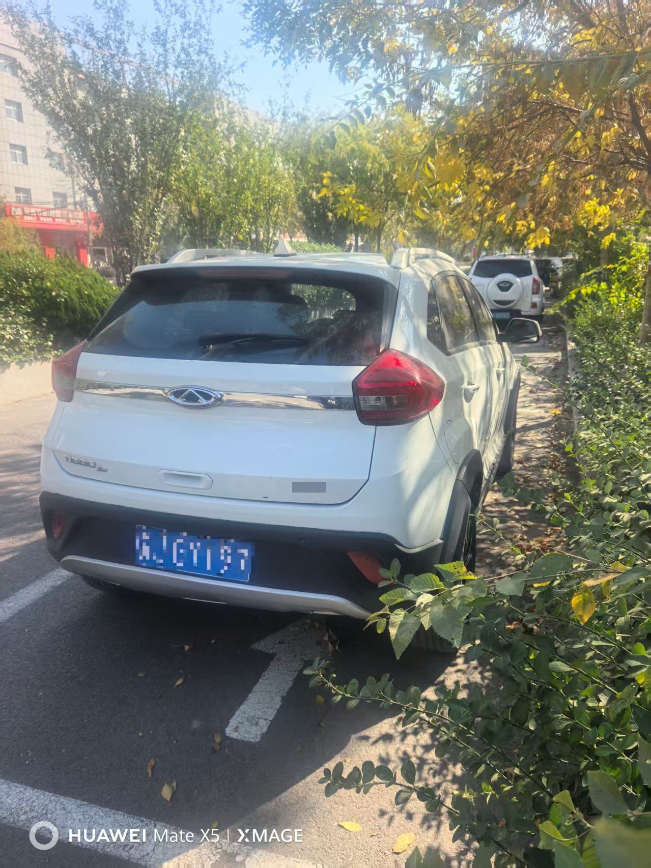 Chery Tiggo 3x 2019 immagine di auto #4