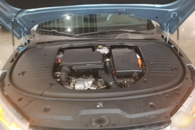 BYD Han 2024 car image #20