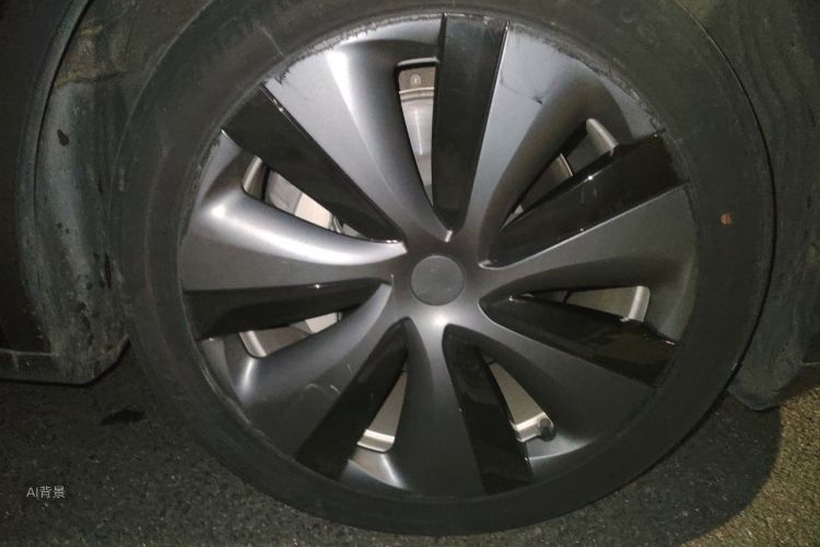Tesla Model Y 2021 car image #9