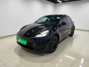 Tesla Model Y 2023 Tesla Model Y 2023 car image
