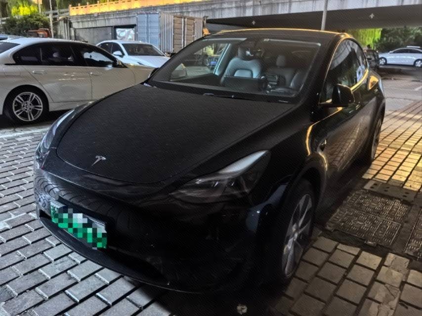 Tesla Model Y 2023 Tesla Model Y 2023 car image