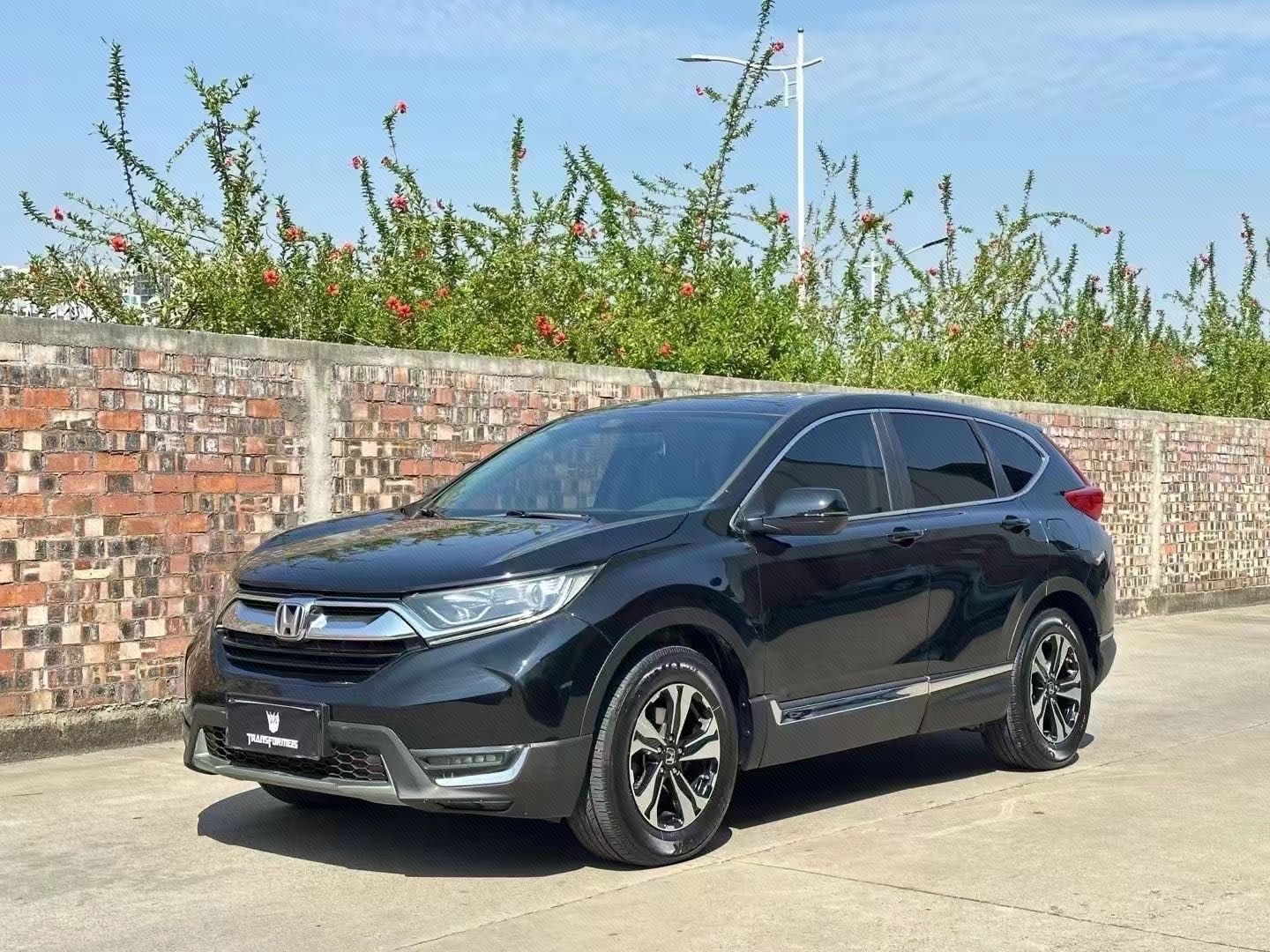2019 2019 car image