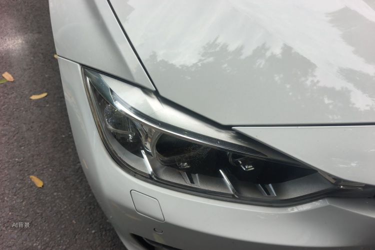 BMW 3 Series 2014 car image #8