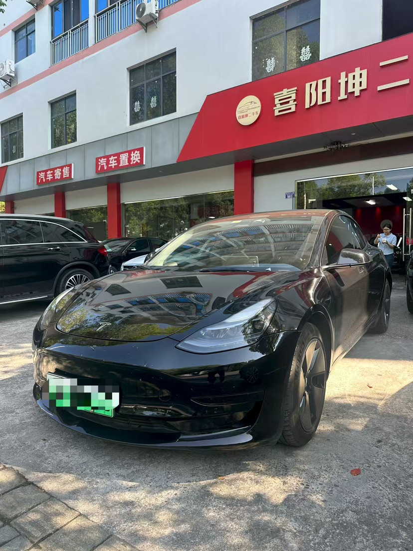 Tesla Model 3 2021 Tesla Model 3 2021 car image