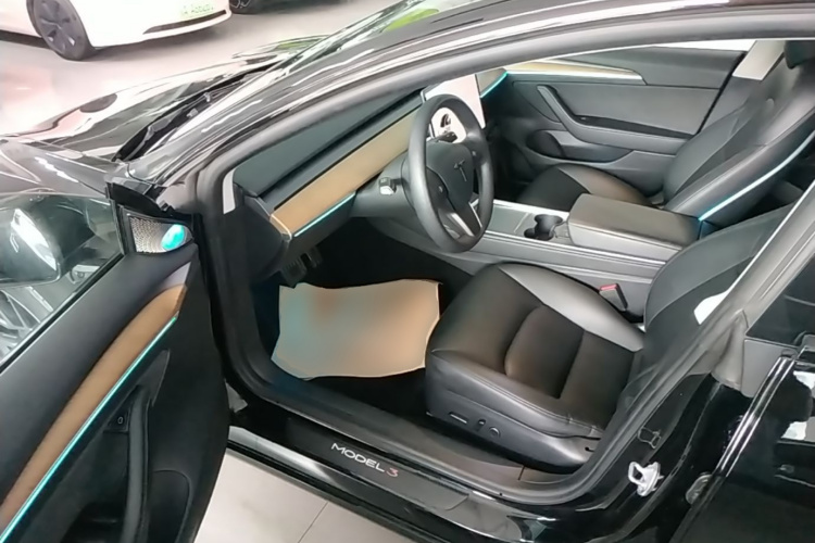 Tesla Model 3 2021 car image #16