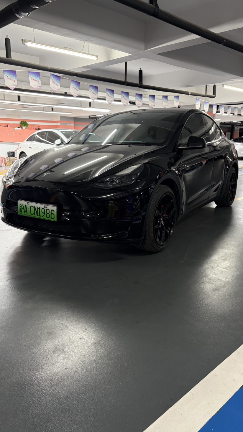 Tesla Model Y 2023 #3 Tesla Model Y 2023 car image #3