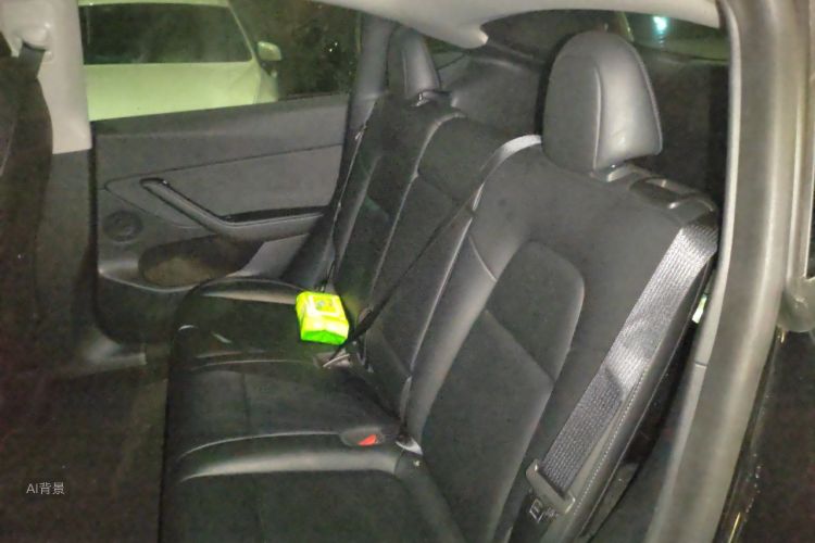 Tesla Model Y 2021 car image #19