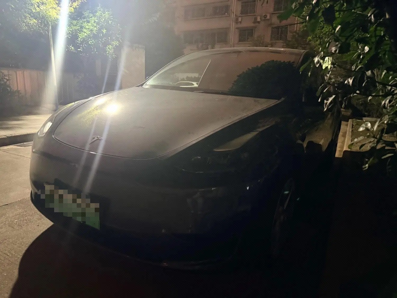 Tesla Model Y 2021 Tesla Model Y 2021 car image
