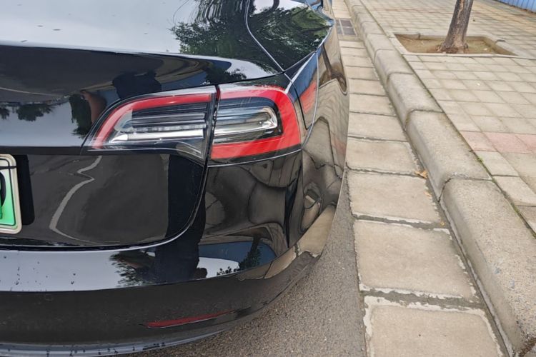 Tesla Model 3 2020 #8 Tesla Model 3 2020 car image #8