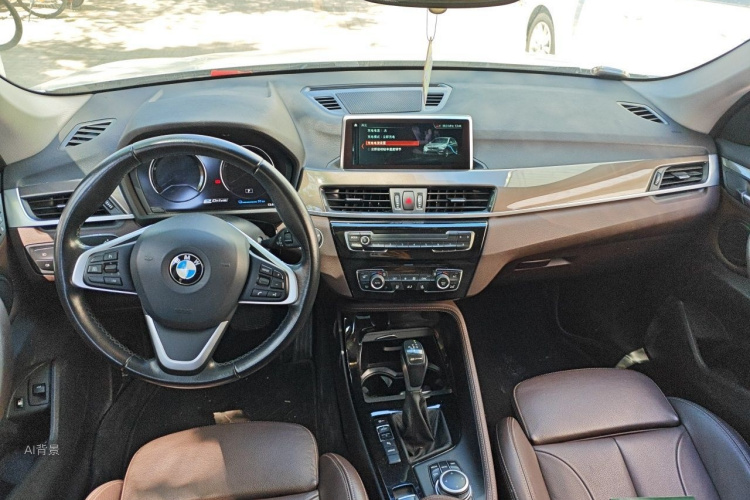 BMW X1 New Energy 2019 car image #11