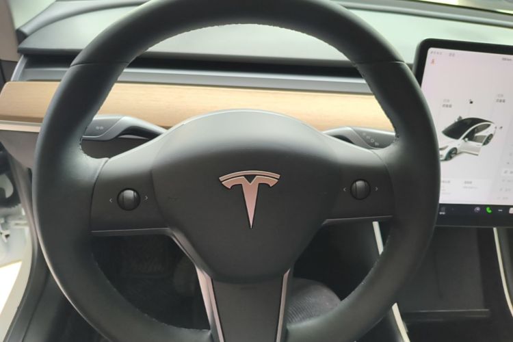 Tesla Model 3 2020 immagine di auto #15